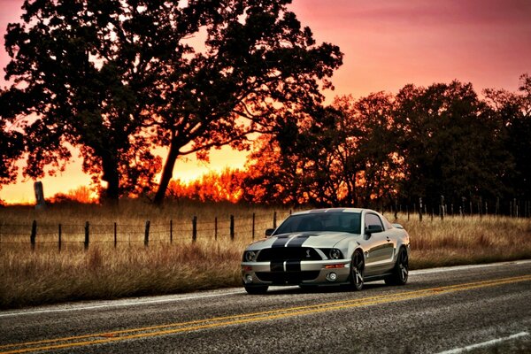 Le légendaire Shelby roule au coucher du soleil