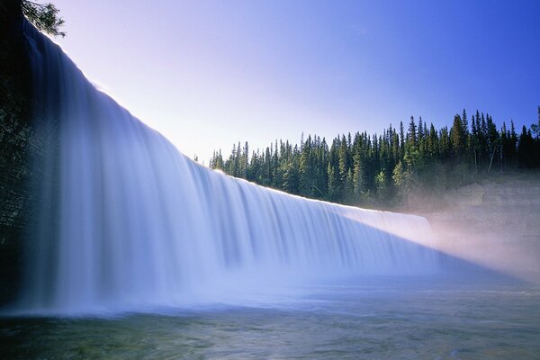 Cascata naturale con foresta