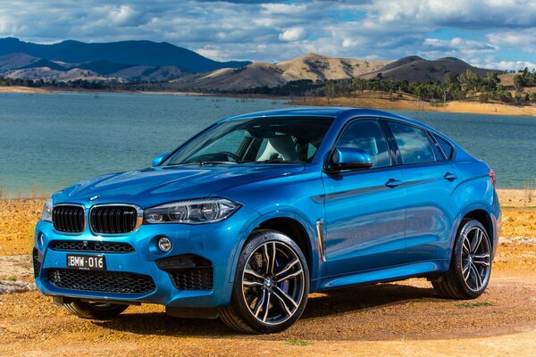 A blue Bmw is parked near a pond