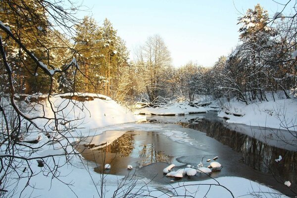 Geschmolzener Waldsee im Frühlingstau