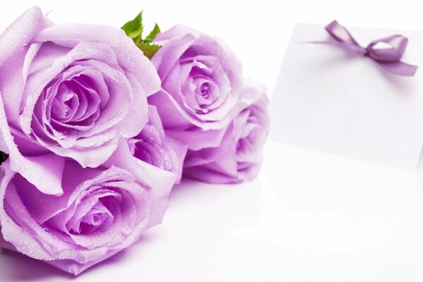 A bouquet of lilac roses and an envelope with a ribbon