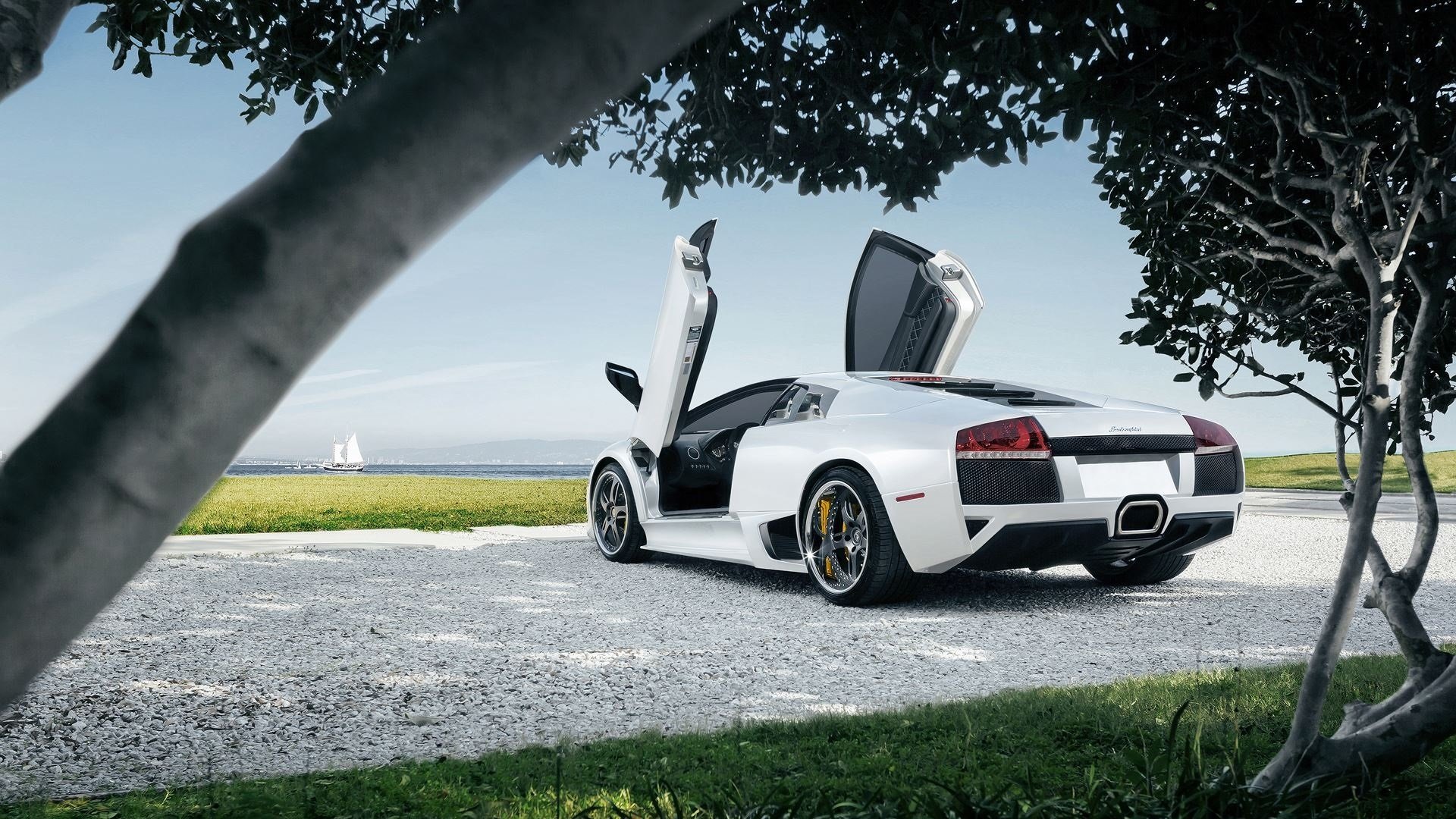 lamborghini murcielago lp640-4 blanco superdeportivo árboles hierba cielo sol trasero