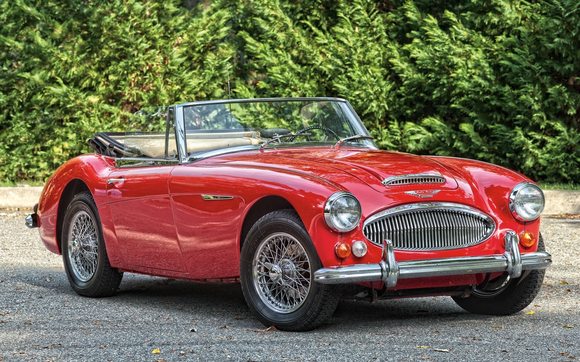 austin healey bj8 roadster 1966 austin healey rojo clásico frente arbustos fondo