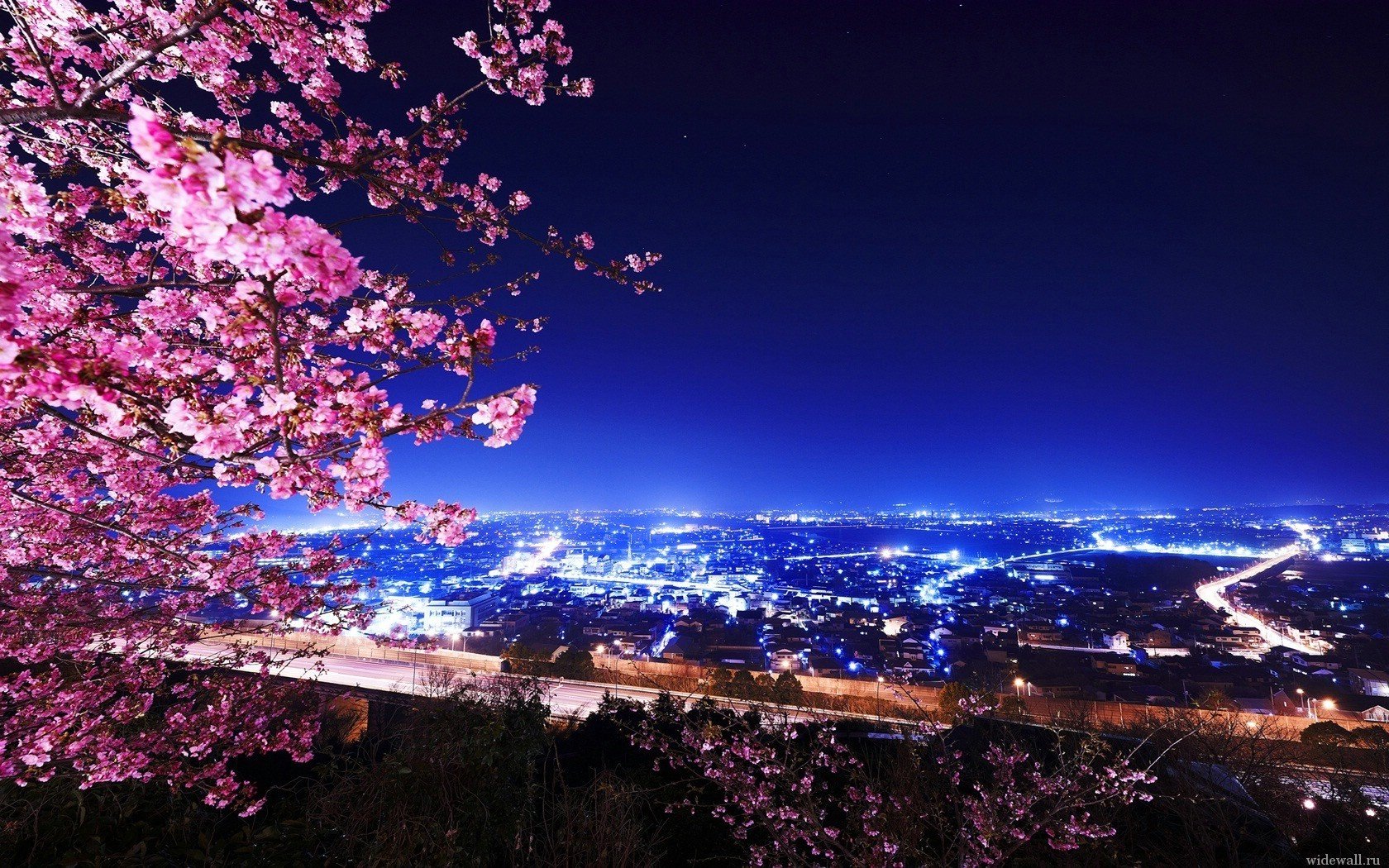 flowers the city night lights tree view mountain the view from the top the sky cities the night sky the lights of the city. spring