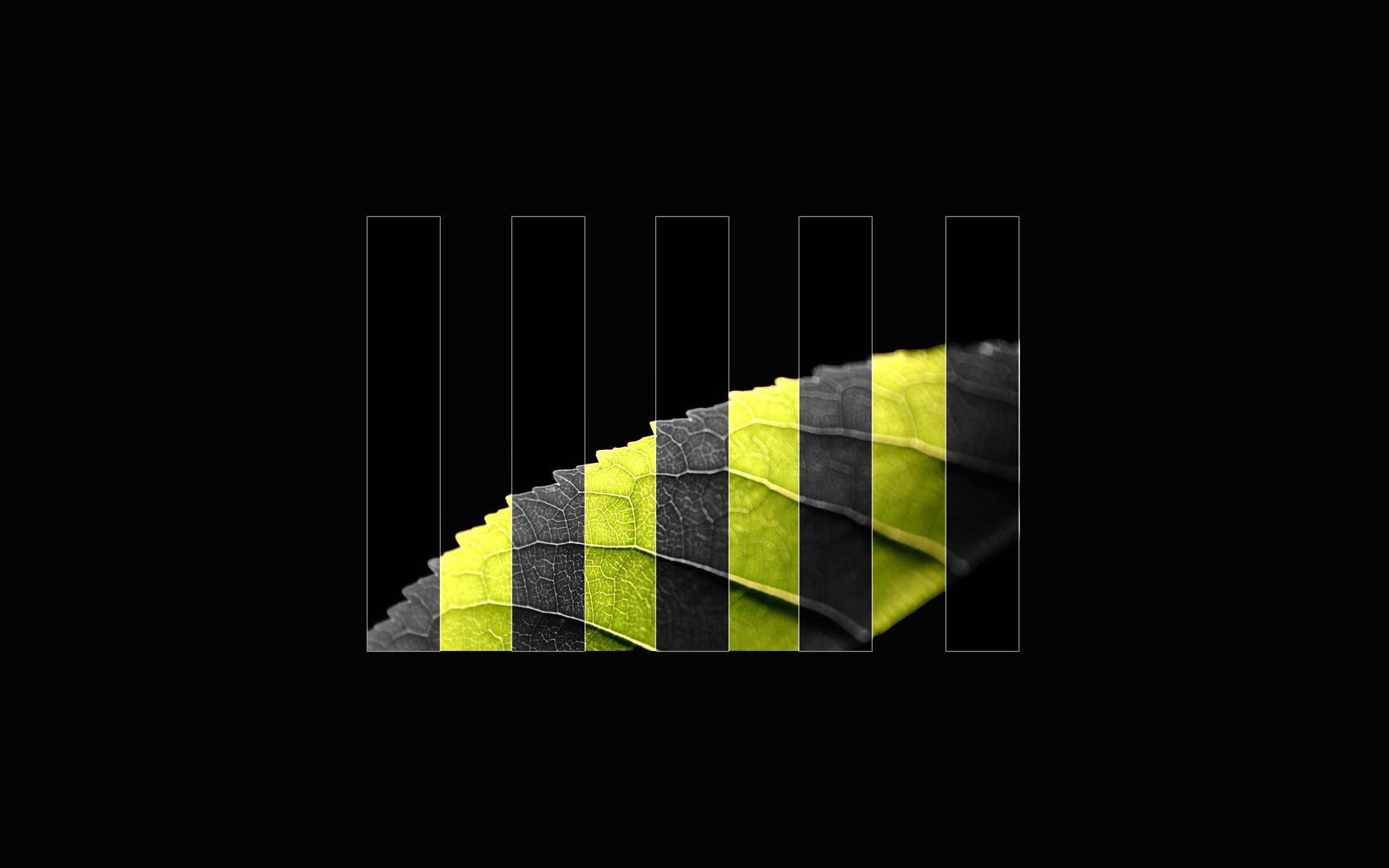 leaf creative black minimalism background leaves wallpaper easy the dark background yellow