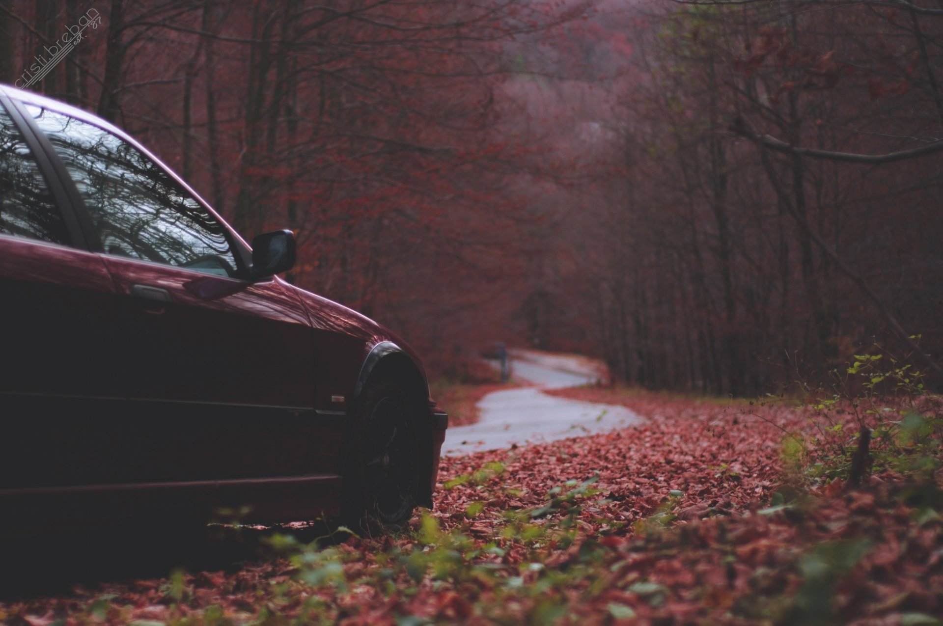 autumn bmw car e36 bmw