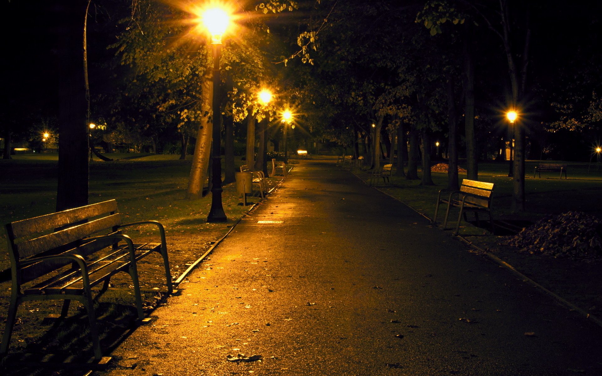 notte panchina parco lanterna passerella romanticismo passeggiata sera new york sfondo aleia lanterne luci luci della città