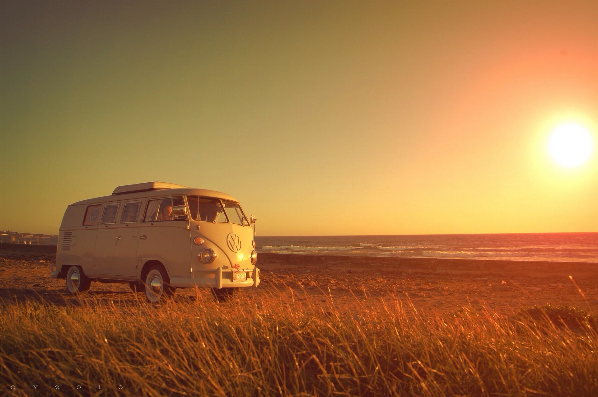 volkswagen transporter volkswagen plage herbe fille ensoleillé