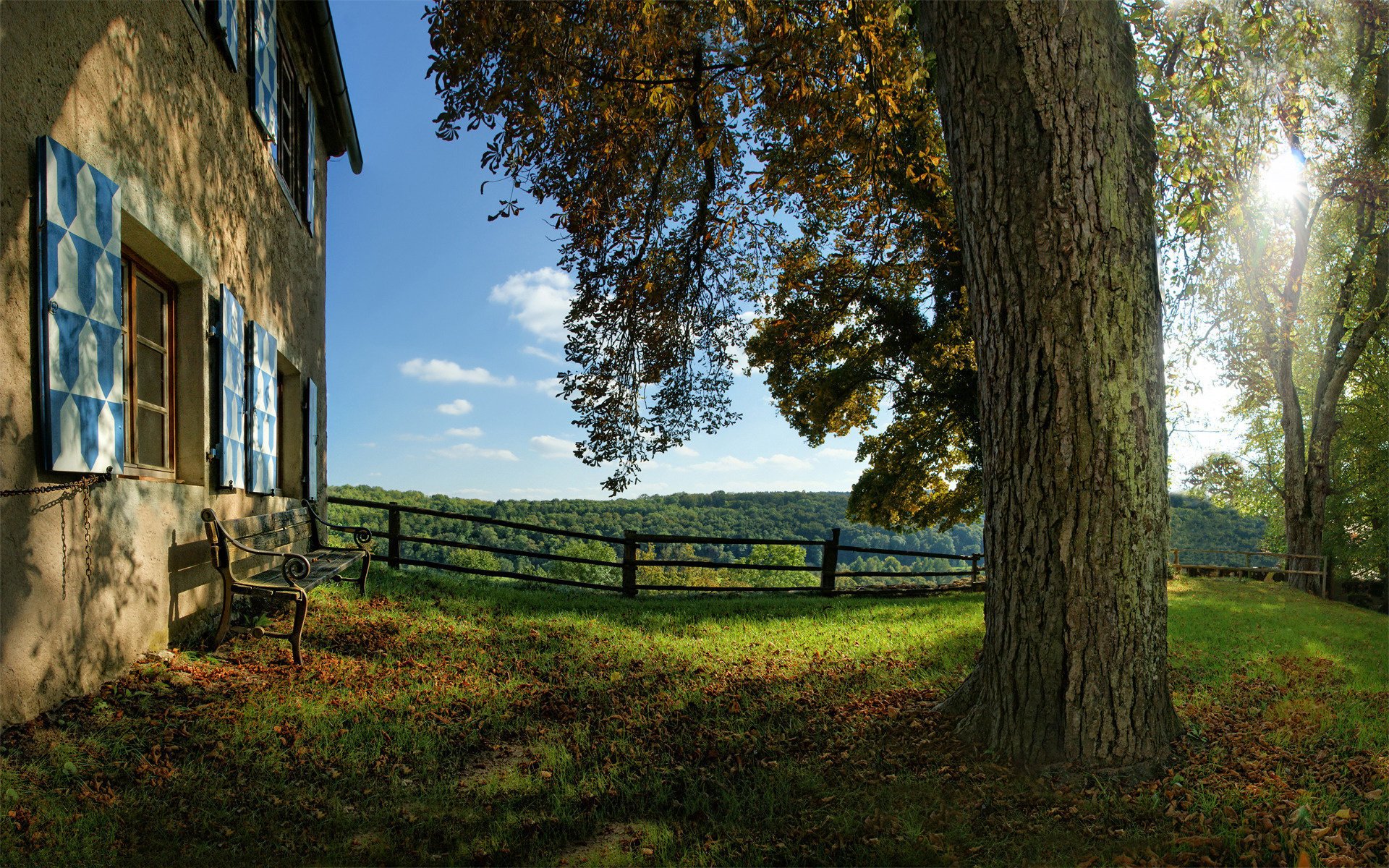 natura albero umore casa mattina luce panchina alberi panchine erba panchina panchine