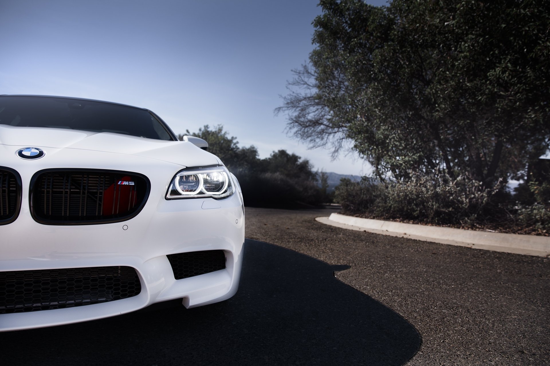 bmw m5 f10 blanco bmw frente luz del día ojos de ángel