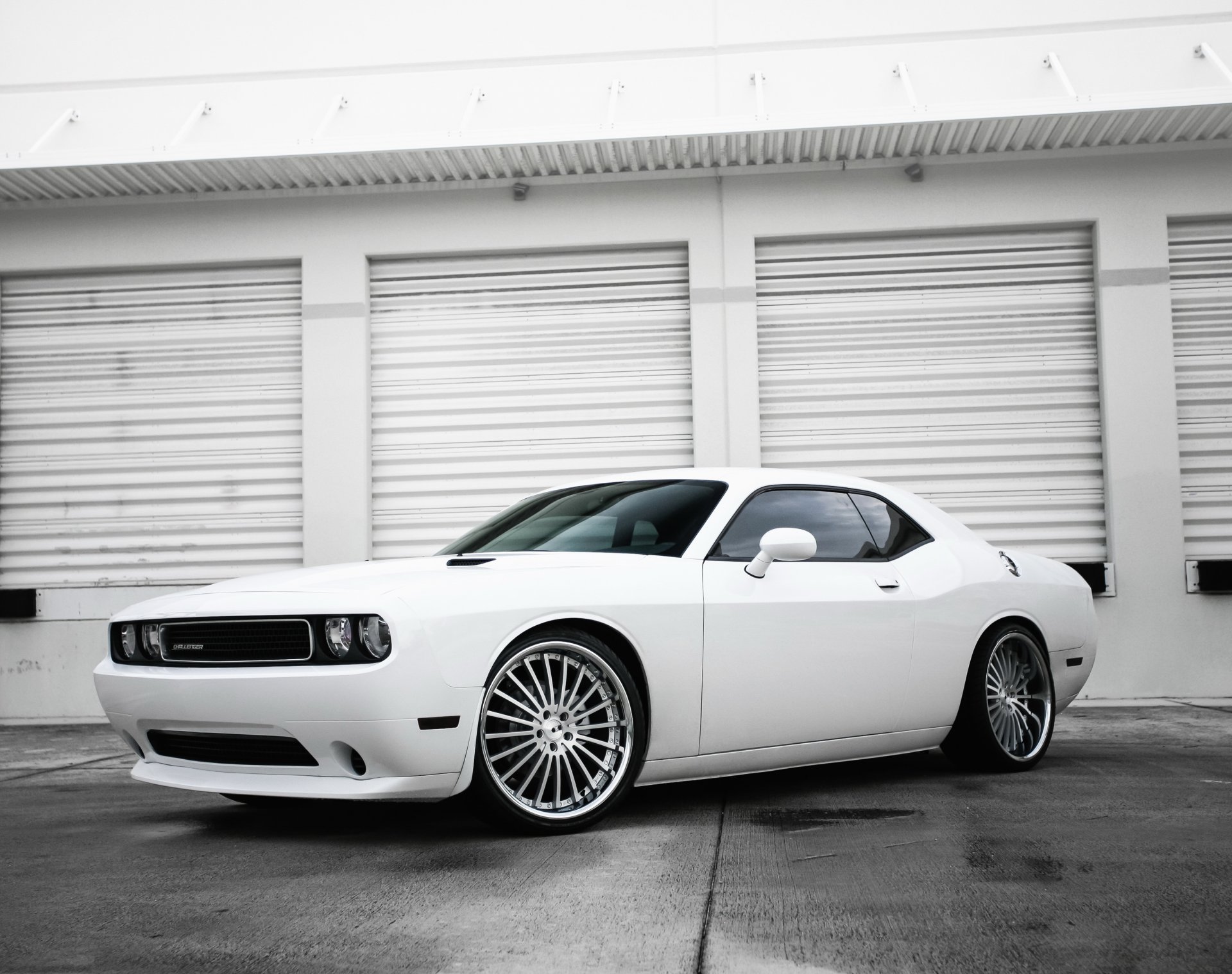 dodge challenger white