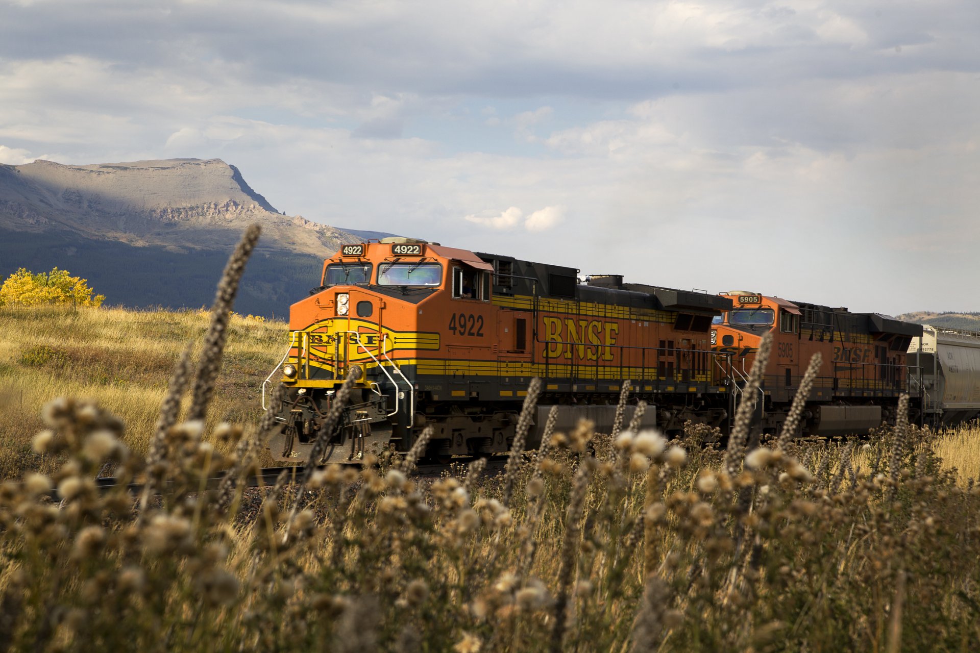 train railroad locomotive cars rails nature