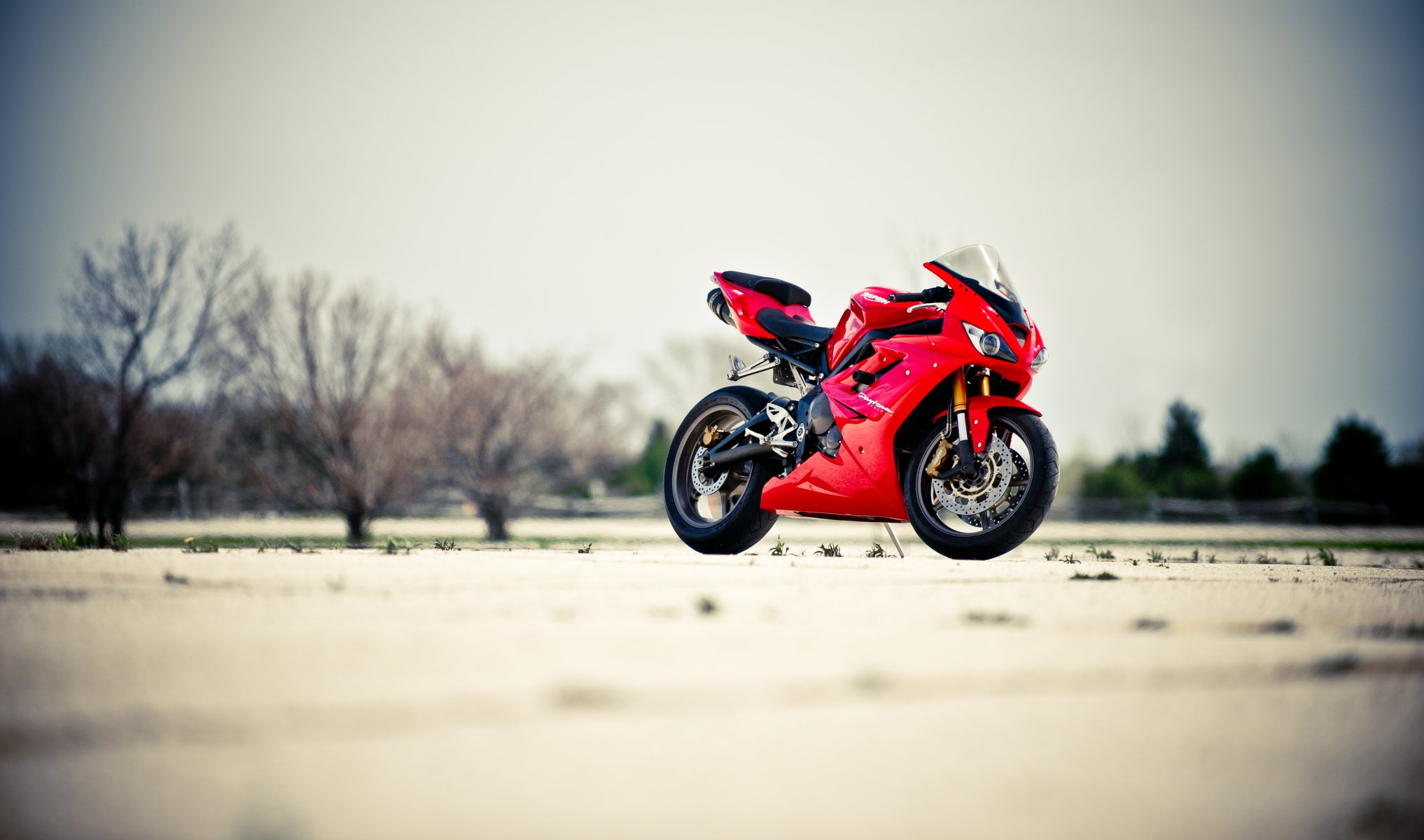 triumph daytona 675 rot fahrrad daytona motorrad rot bäume himmel