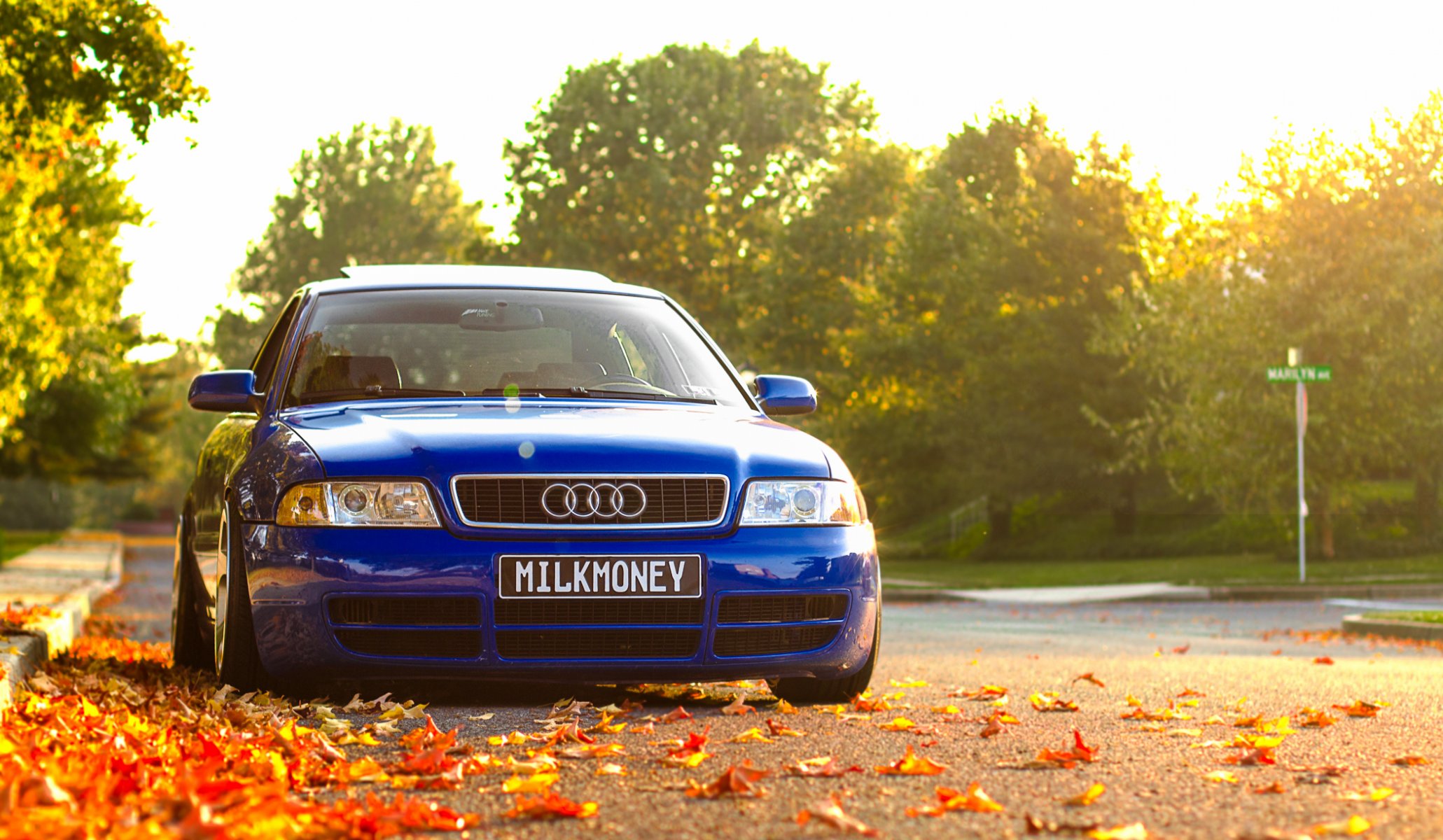 audi a4 bleu audi bleu avant automne feuillage