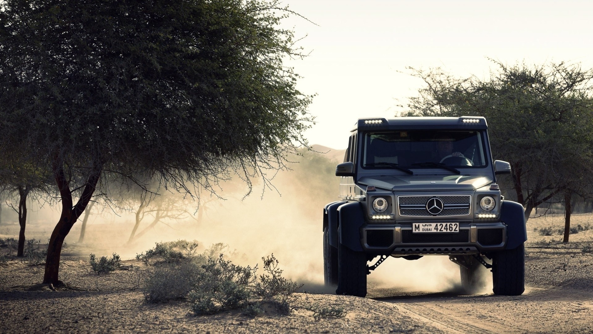 vehicles road grey tree mercedes benz