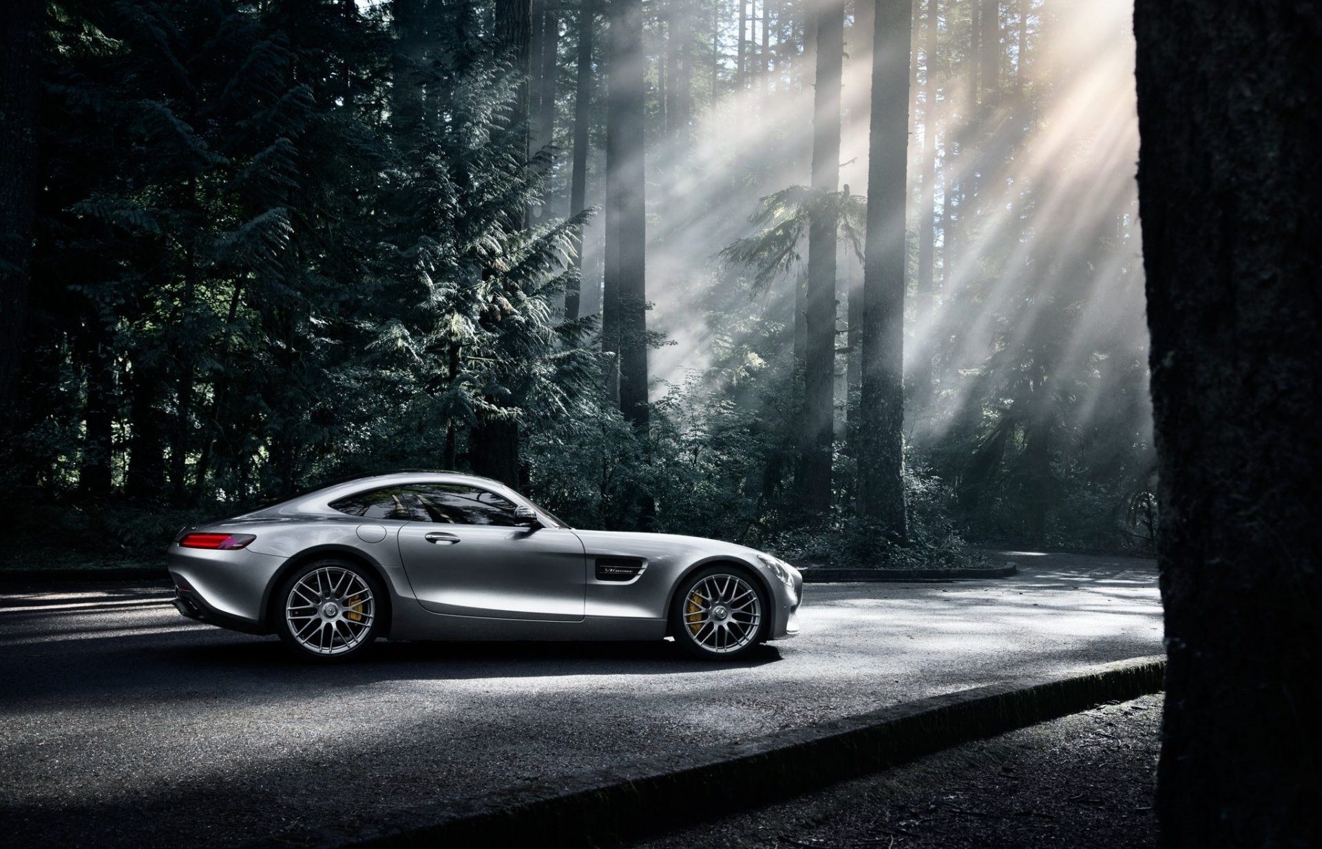 mercedes-benz amg gt s 2016 argent couleur soleil sombre forêt côté