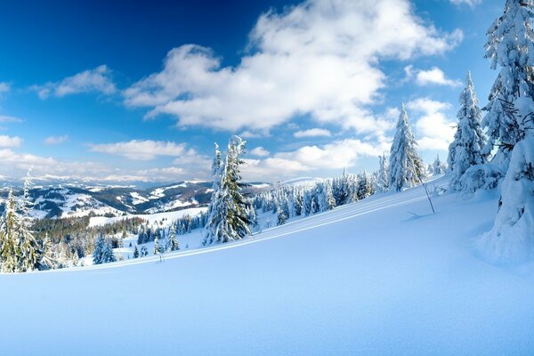 Pente de la montagne blanche comme neige et sapin de Noël dans la neige sur fond de ciel bleu