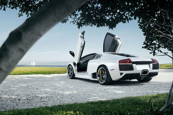 White supercar with open doors