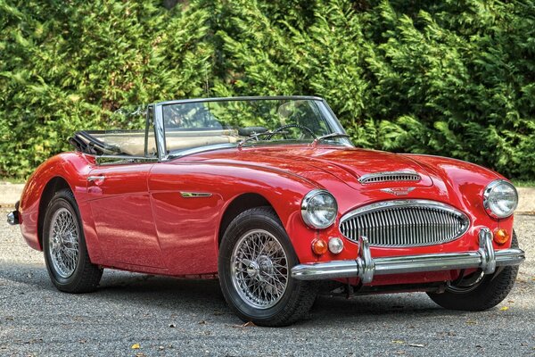 Red Austin Healy von 1966