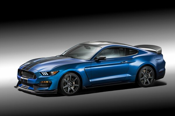 Ford Mustang Shelby gt350r colores: azul metálico