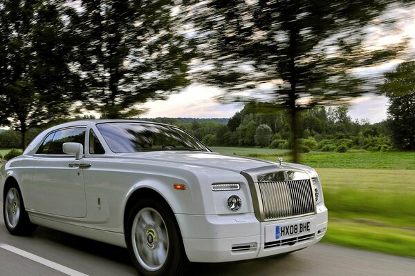 Chic rolls-royce in white