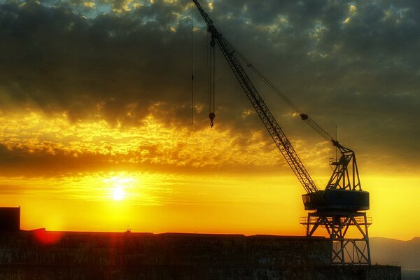 Grue sur fond de coucher de soleil