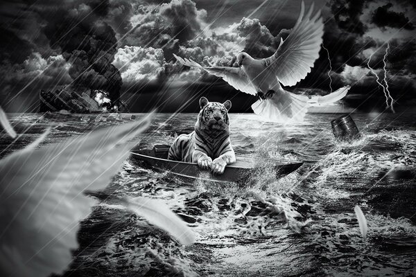 Tiger im Boot am Meer im Regen