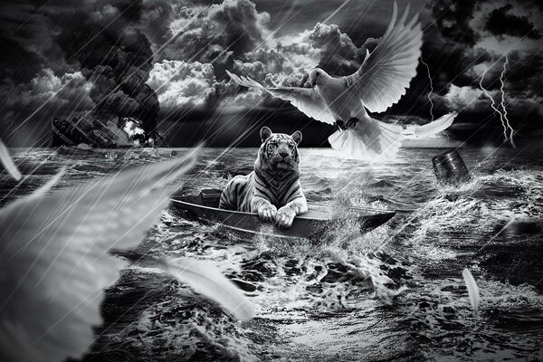 Tigre en un barco en el mar en la lluvia