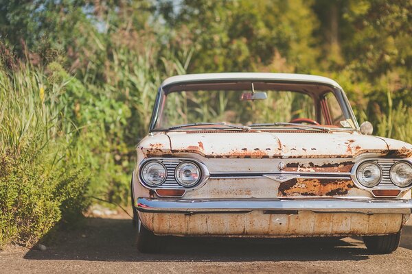 Old Chevrolet Corvair on the background of the forest