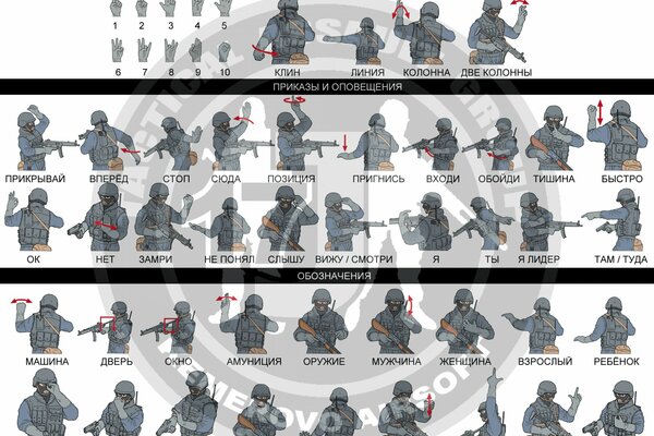 Ordres et désignations pour les forces spéciales