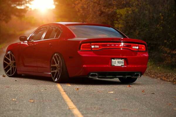 Beautiful red car rear view