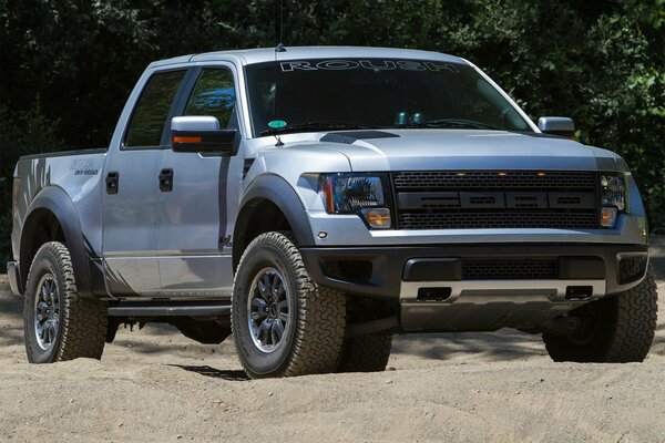 Gray powerful truck on the sand in the middle of the forest