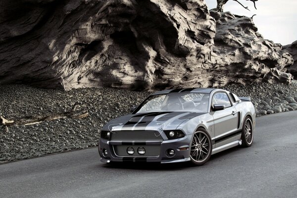 Ford Mustang grey car