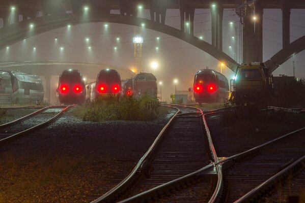 Tren en medio de luces nocturnas y niebla