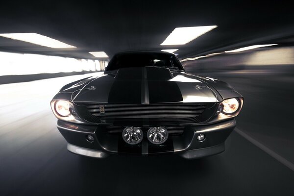 Mustang pendant la course dans le tunnel sombre