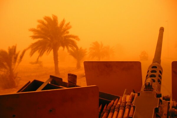 Mitragliatrice. Palme. Guerra nel deserto