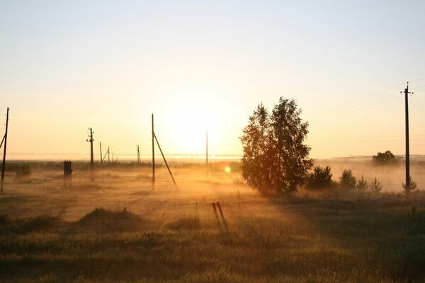 Los rayos del sol en el horizonte de la distancia Del campo ruso