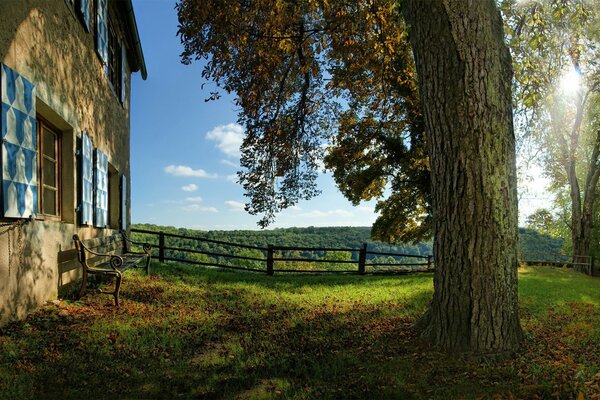 Traurige Stimmung im Herbst, das Blatt bröckelt