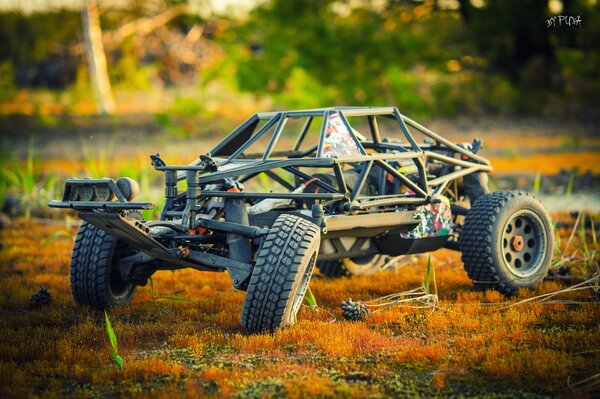 A buggy model. macro photography of a toy car