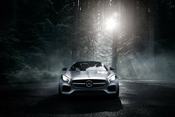 Mercedes-benz silver in a dark forest