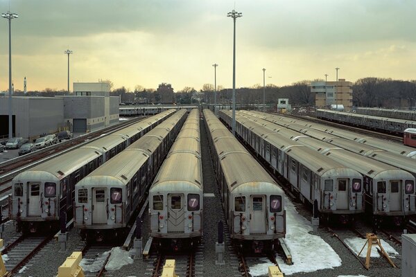 The trains arrived at the depot at dawn