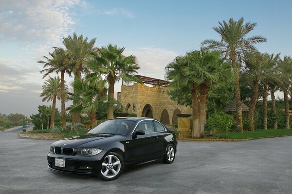 Black car on a background of green palm trees