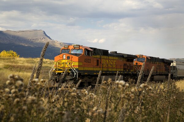 Moving train on iron rails