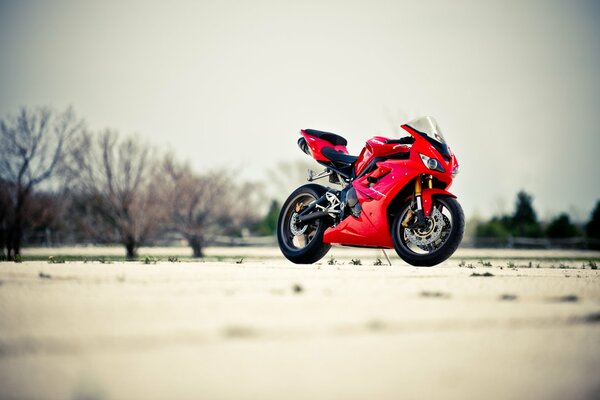Красный мотоцикл daytona 675 на фоне пейзажа
