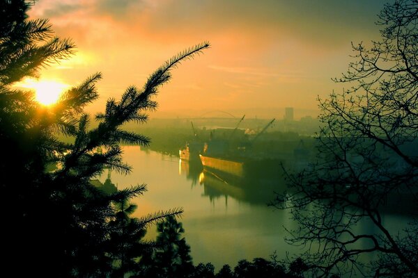 Amanecer en el río del bosque