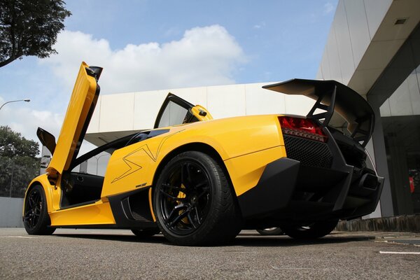 Lamborghini giallo musielagro vista dal basso