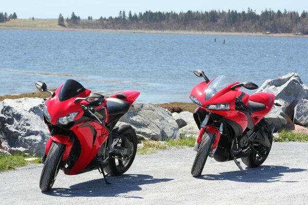 Два красных мотоцикла на фоне воды