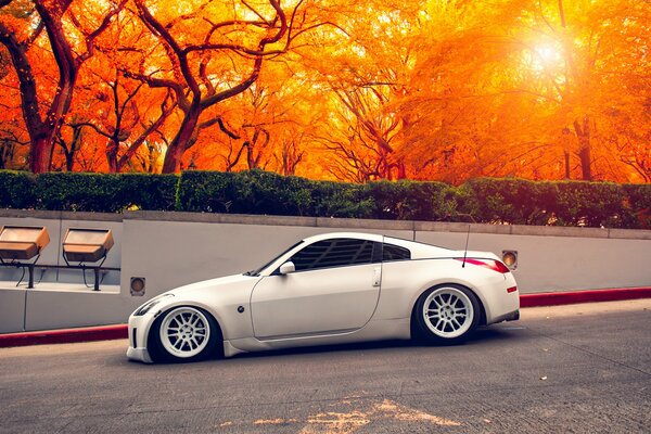 The sports car on the descent is parked against the background of the autumn forest