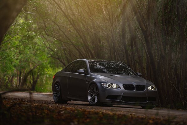 BMW steht im Wald unter einem Baum