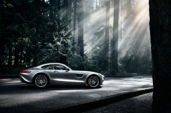 Mercedes AMG de plata. Paisaje forestal